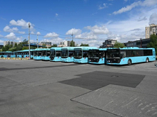 Больше 57 процентов автобусов Петербурга работают на природном газе