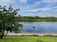 В Туре гибнет рыба — это может быть связано с подъемом воды из-за ливней