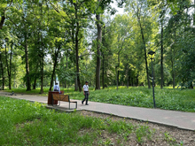 Суд обязал мэрию увеличить процент озелененных территорий в центре Нижнего Новгорода