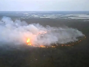 Лесные пожары в Красноярском крае охватили 600 тысяч гектаров