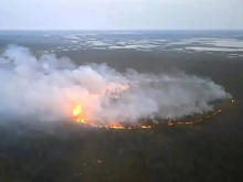 Лесные пожары в Красноярском крае охватили 600 тысяч гектаров
