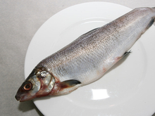 В Петербурге навсегда закрылся старейший рыбный ресторан La Perla Fish House