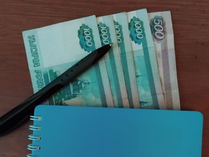 В Новосибирской области срок потребкредитов снизился на 4,5%
