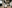 Исследование «Ингосстраха» и Островка: у россиян растет интерес к зарубежным направлениям