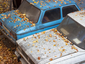 Брошенные автомобили в Новосибирске начали утилизировать по новым правилам