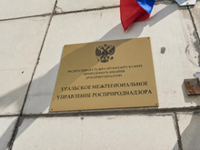 В Челябинске появится объединенное управление Россельхознадзора по УрФО