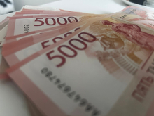 Доля прибыльных организаций сократилась в Челябинской области