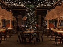 Ресторан-праздник. Как ИИ помогает определить самые популярные заведения Красноярска 