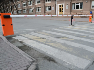Челябинским чиновникам рекомендовали добираться до работы на троллейбусах