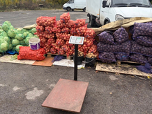 Более семи тонн продукции забрали у нелегальных торговцев в Новосибирске