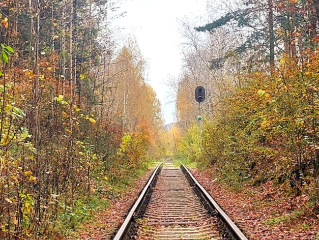 В Екатеринбурге на Широкой речке появится наземное метро и четыре новых дороги В Екатеринбурге на Широкой речке появится наземное метро и четыре новых дороги