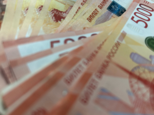 Челябинским аграриям и рыболовам стали доступны льготные займы
